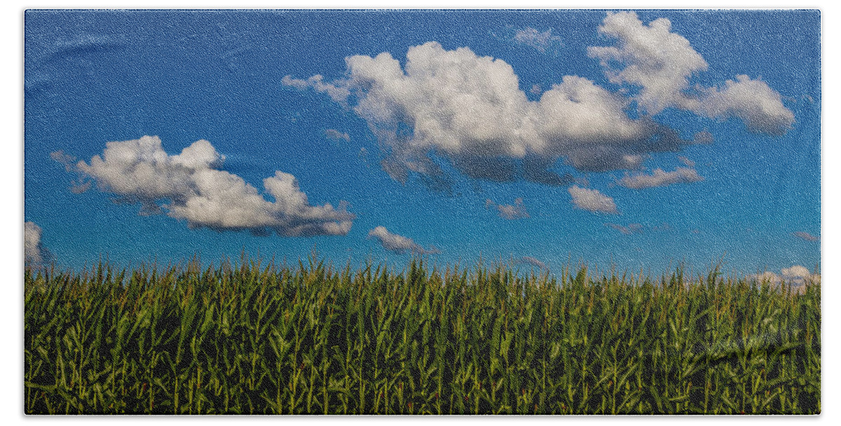 Indiana Bath Towel featuring the photograph Corn Field by Ron Pate