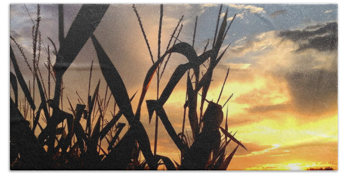 Sky Bath Towel featuring the photograph Cornfield Sundown by Angela Rath