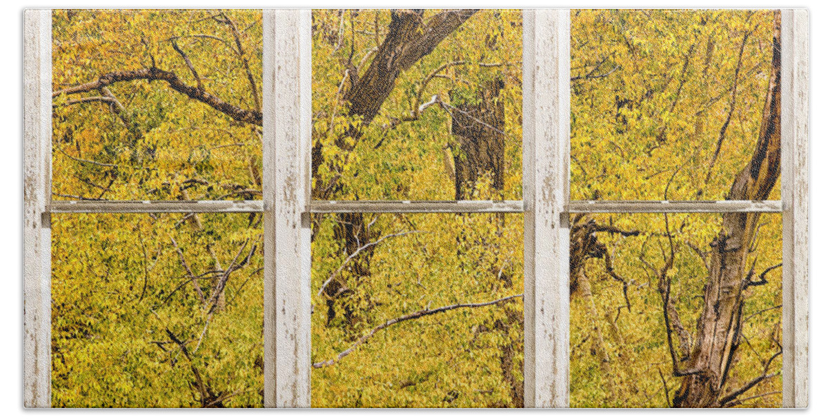 Window Bath Towel featuring the photograph Cottonwood Fall Foliage Colors Rustic Farm Window View by James BO Insogna