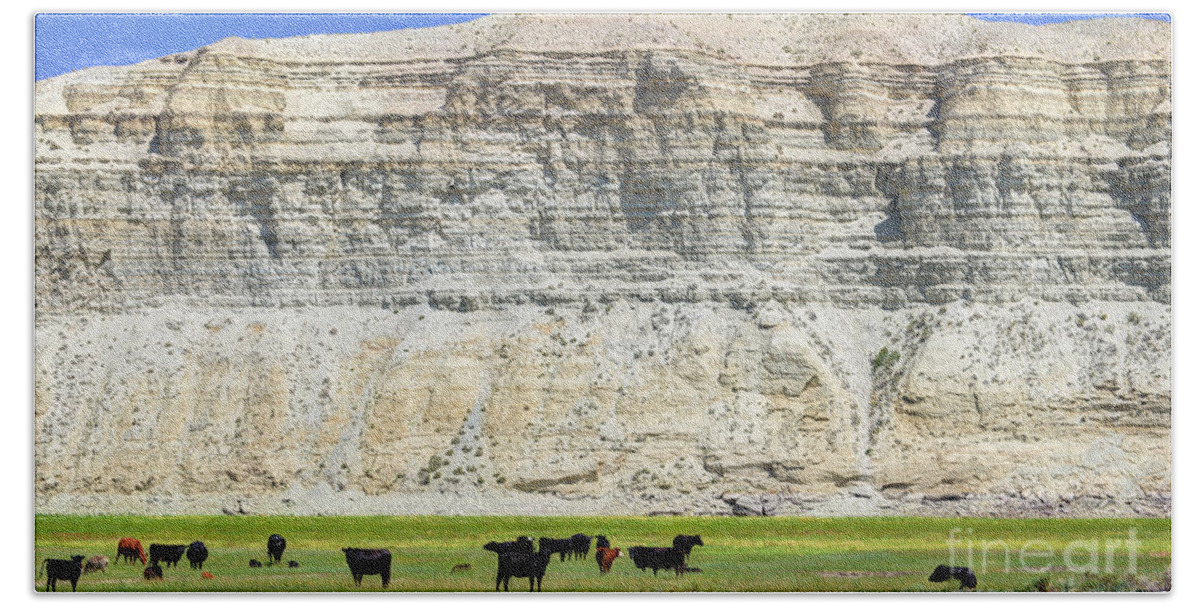 Cows Bath Towel featuring the photograph Grazing Cows Green River Cliffs Thunderstorm by Gary Whitton