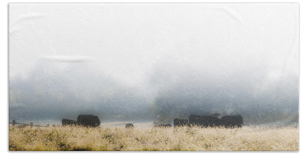 Cows Bath Towel featuring the photograph Cows in a Foggy Field by Bill Cannon