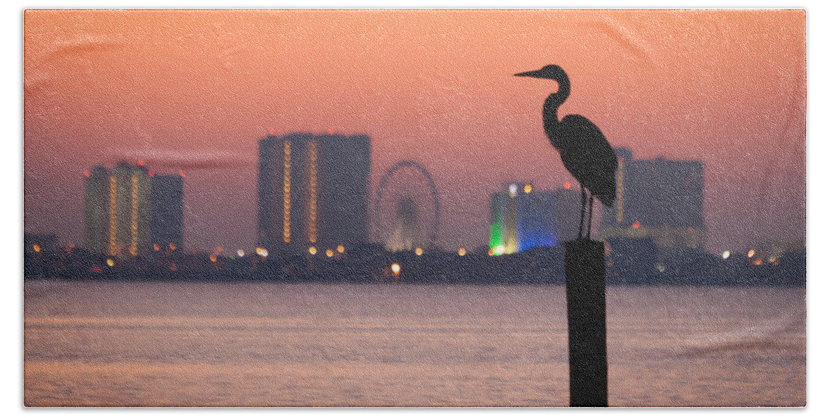 Bird Bath Towel featuring the photograph Crane on a Pier by Tim Stanley