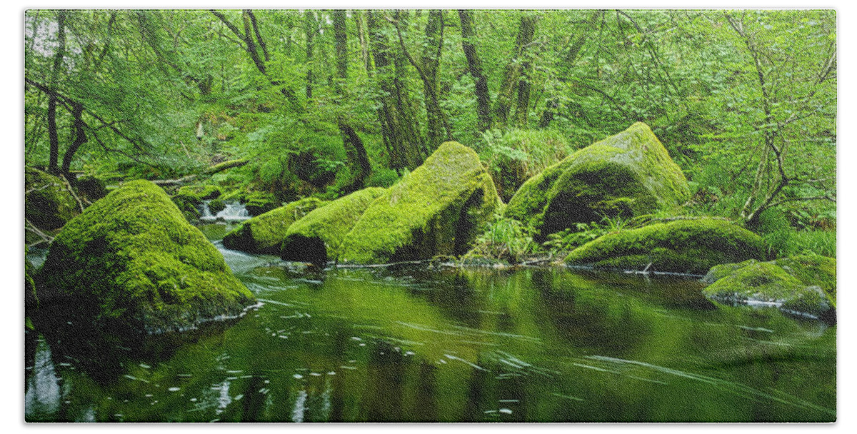 Creek Bath Towel featuring the photograph Creek in the Woods by Chevy Fleet