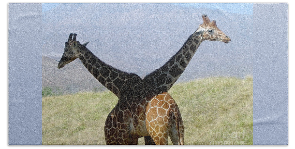 2 Giraffes Bath Towel featuring the photograph Crossed Giraffes by Phyllis Kaltenbach