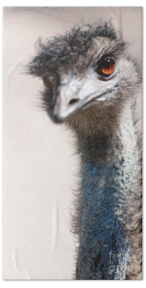 Emu Hand Towel featuring the photograph Curious Emu by Carol Groenen