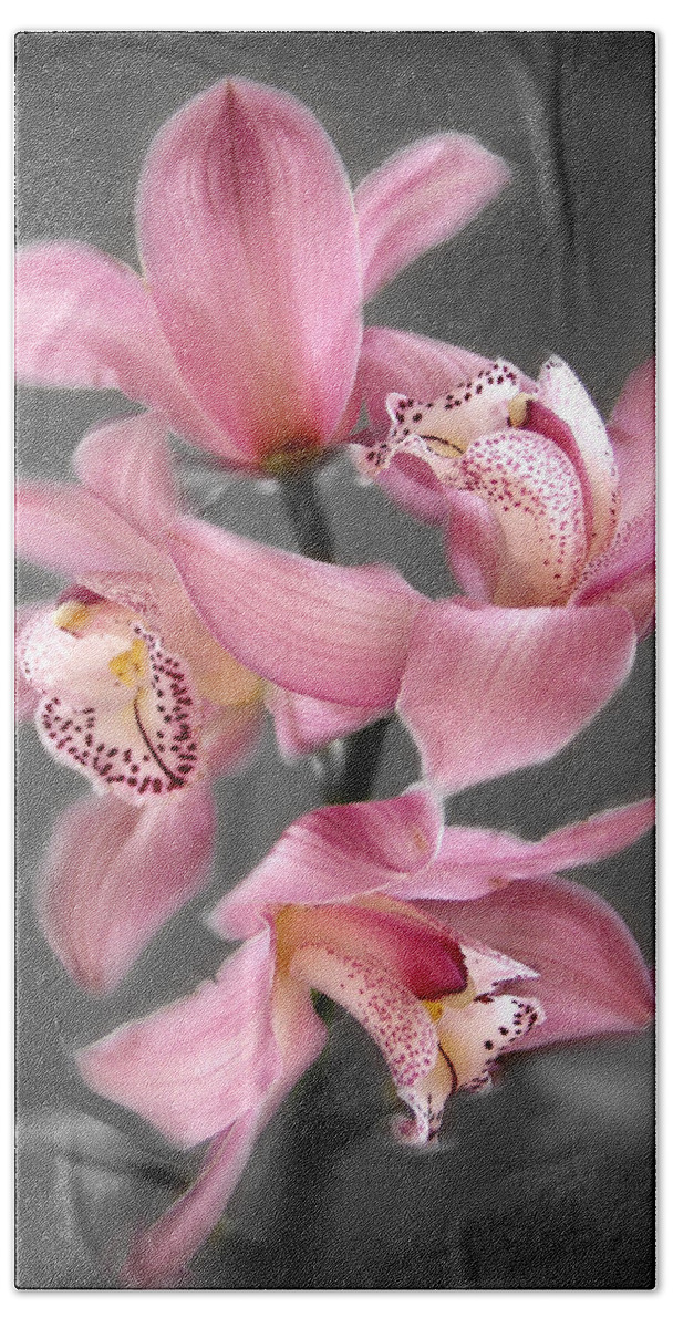 Flowers Bath Towel featuring the photograph Cymbidium Orchid Pink III Still Life Flower Art Poster by Lily Malor