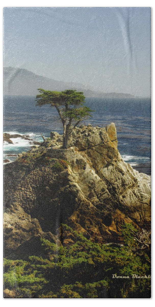 Cypress Tree Hand Towel featuring the photograph Cypress by Donna Blackhall