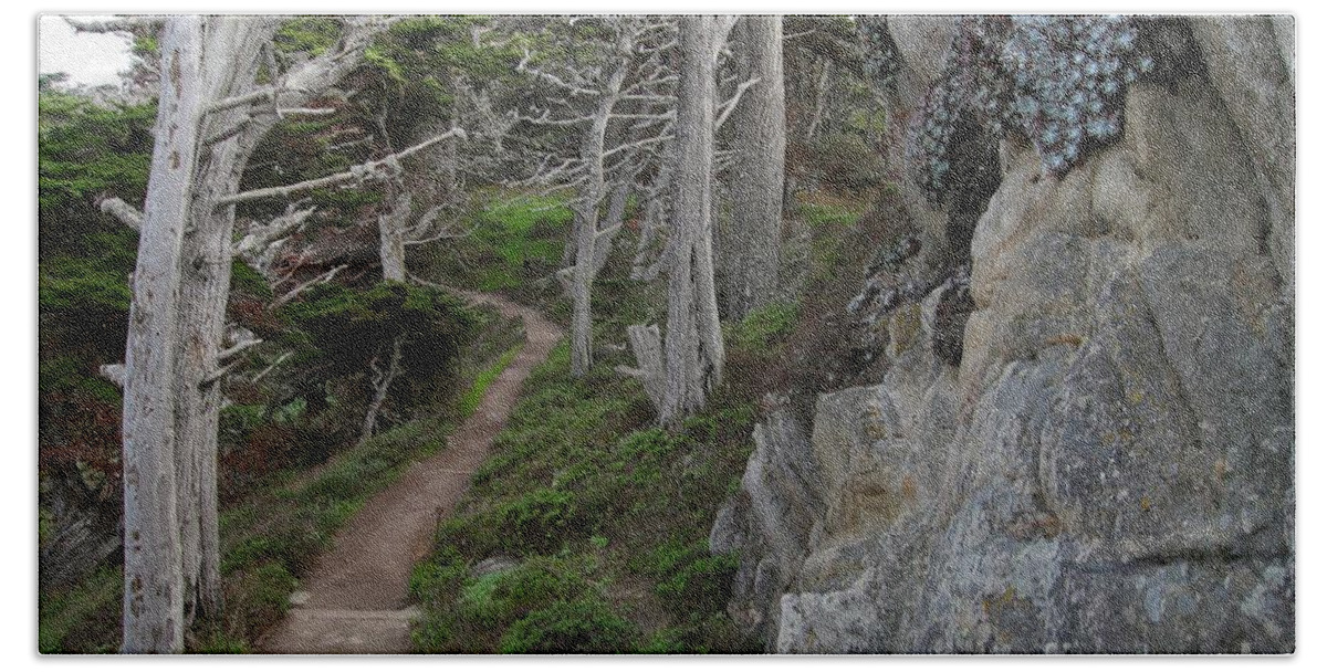 Point Lobos Bath Towel featuring the photograph Cypress Grove Trail by James B Toy