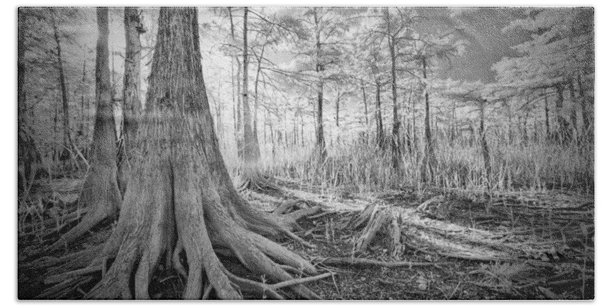 Big Bath Towel featuring the photograph Cypress Roots In Big Cypress by Bradley R Youngberg