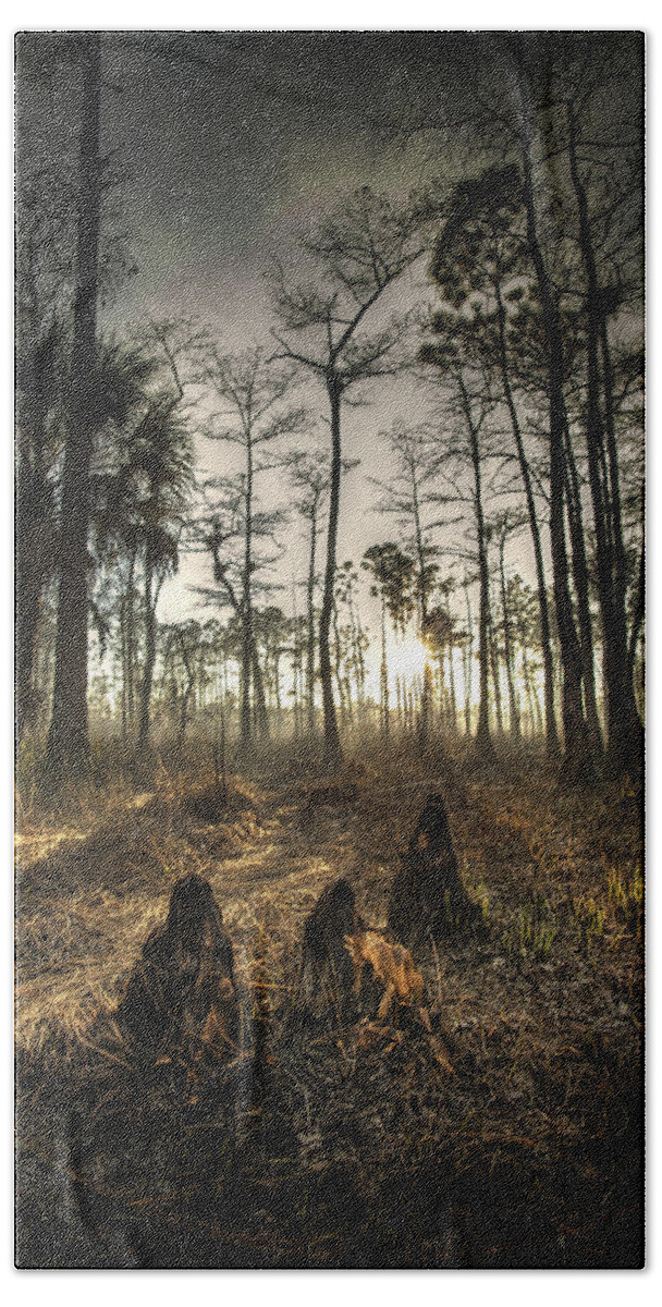 Everglades Hand Towel featuring the photograph Cypress Stumps And Sunset Fire by Bradley R Youngberg