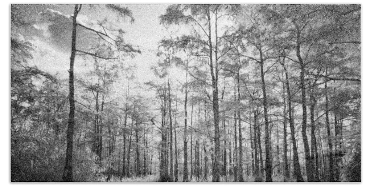 Big Bath Sheet featuring the photograph Cypress Trees In Big Cypress by Bradley R Youngberg