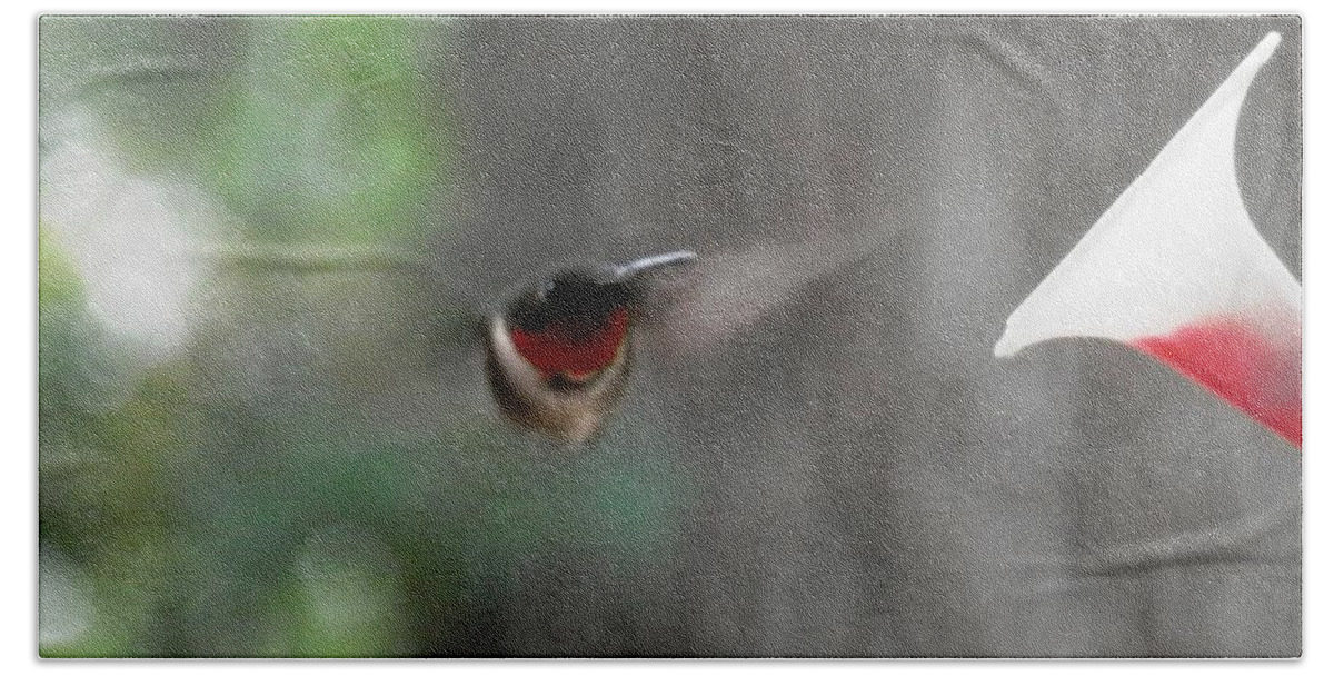 #frozen See The #red On His Neck. #daddy #hummingbird Bath Towel featuring the photograph Daddy Humming Bird by Belinda Lee