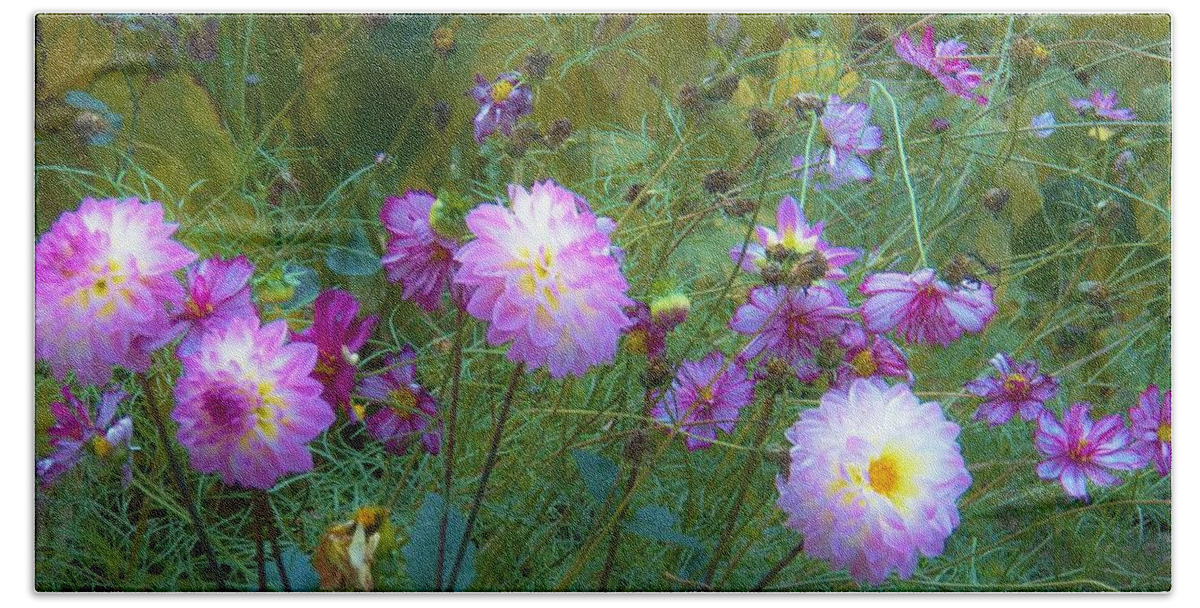 Dalia Hand Towel featuring the photograph Dahlias and Cosmos by Judy Via-Wolff