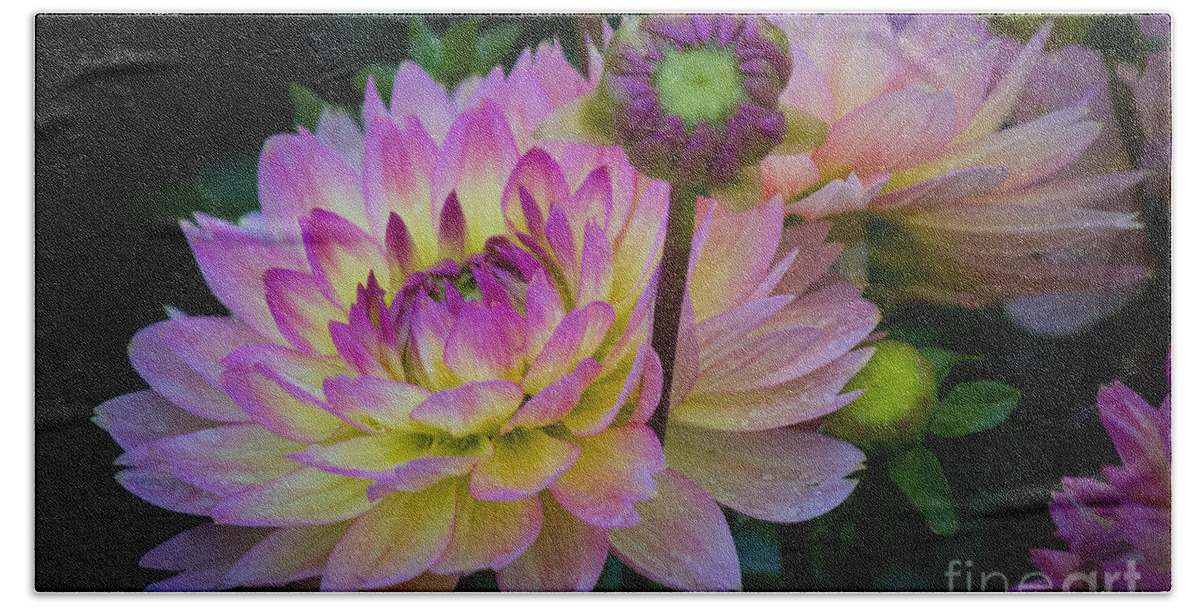 Hand Towel featuring the photograph Dahlias by Patricia Babbitt