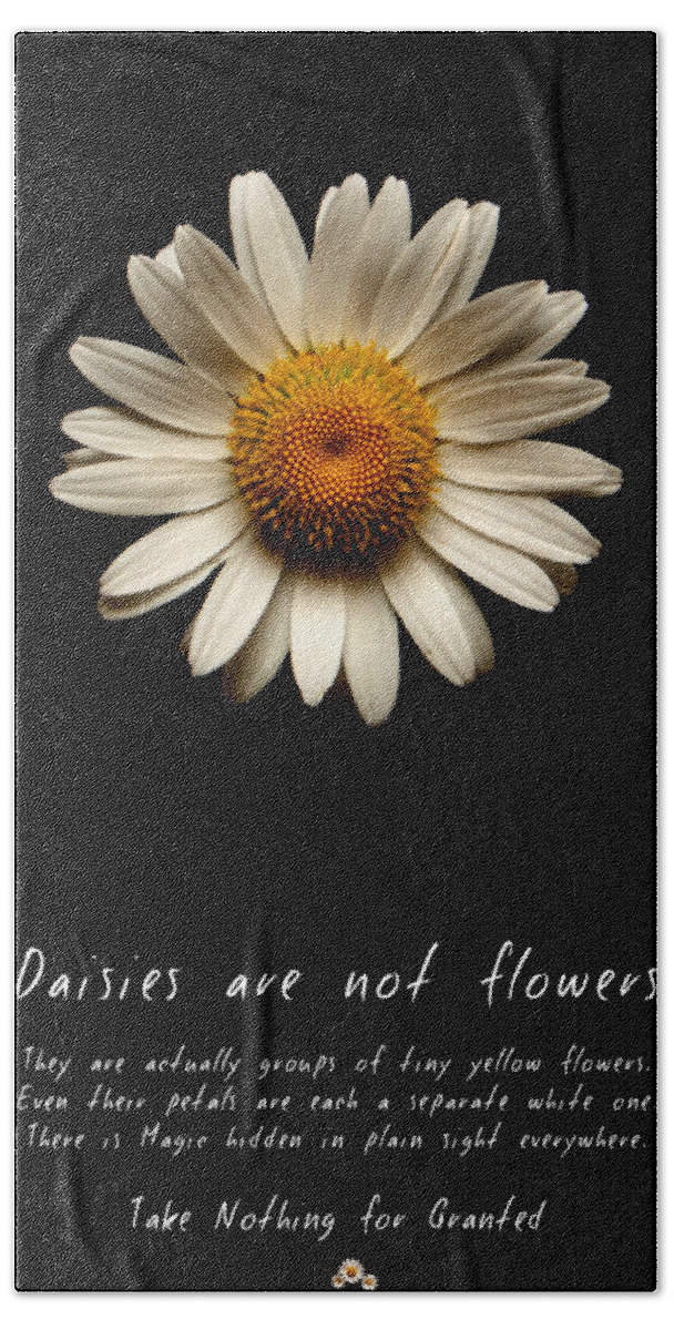 Daisies Are Not Flowers Bath Towel featuring the photograph Daisies are not flowers by Weston Westmoreland
