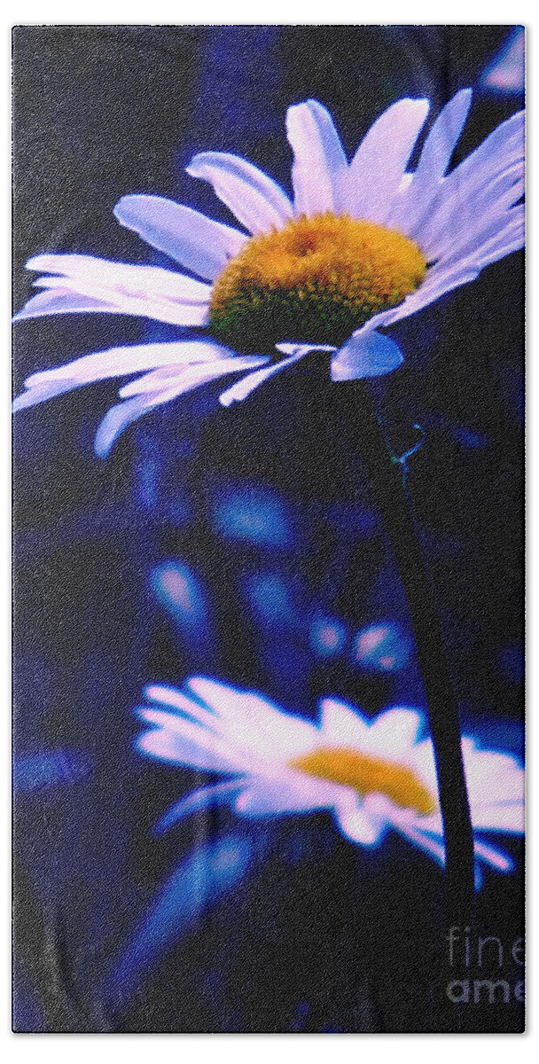 Nature Bath Towel featuring the photograph Daisies In The Blue Realm by Rory Siegel