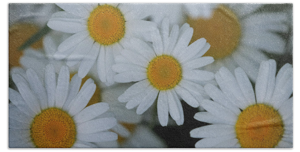 Flower Bath Towel featuring the photograph Daisies by Paul Freidlund