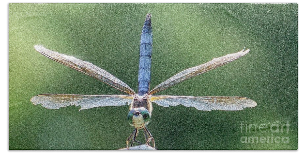 Dragonflies Hand Towel featuring the photograph Damaged Wings by Eunice Miller