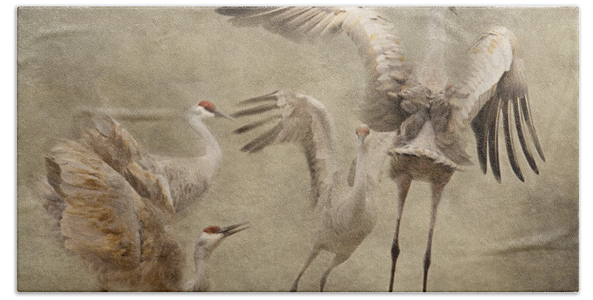 Sandhill Crane Bath Towel featuring the photograph Dance of the Sandhill Crane by Pam Holdsworth