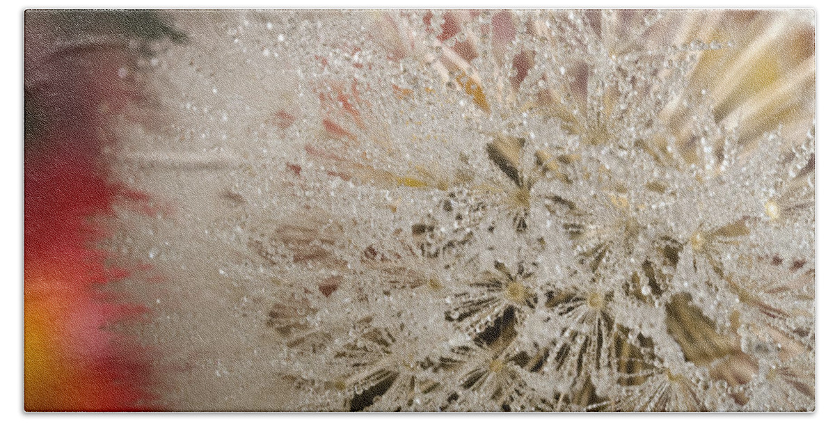 Iris Holzer Richardson Hand Towel featuring the photograph Dandelion Crystals by Iris Richardson