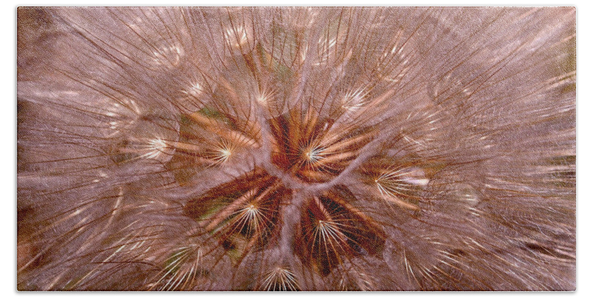 Dandelion Bath Sheet featuring the photograph Dandelion Fireworks by Rona Black