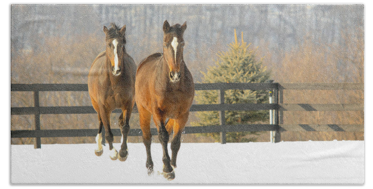 Horses Hand Towel featuring the photograph Dashing through the Snow by Carol Lynn Coronios