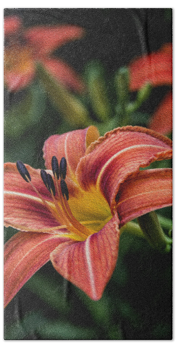 Flower Bath Towel featuring the photograph Day Lilies by Rebecca Samler