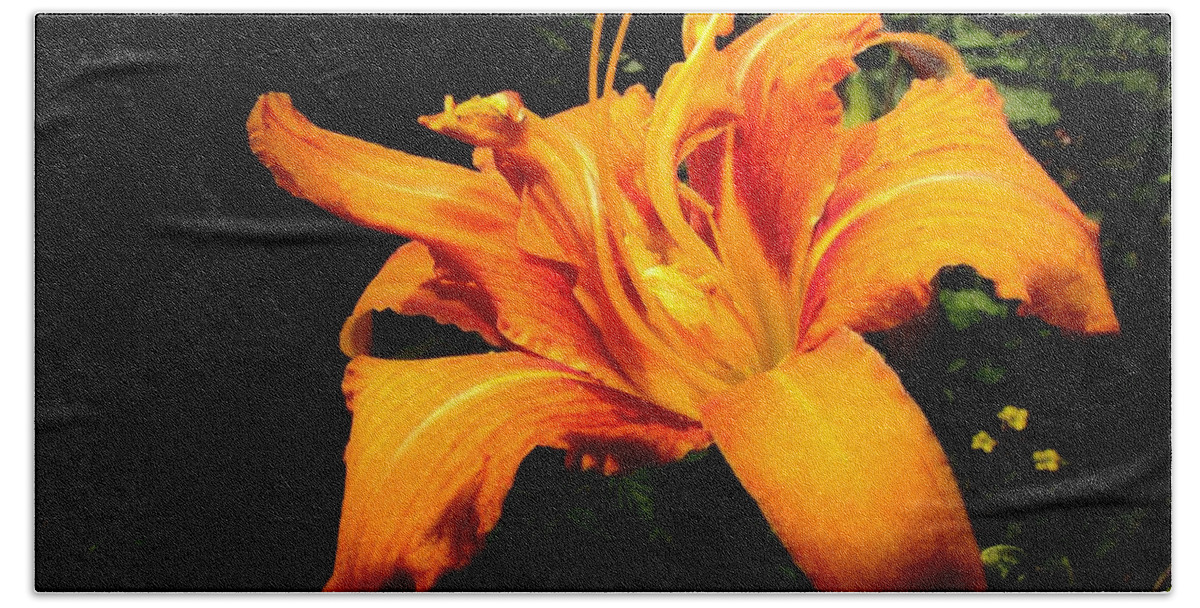 Daylily Bath Towel featuring the photograph Daylily by Eric Noa