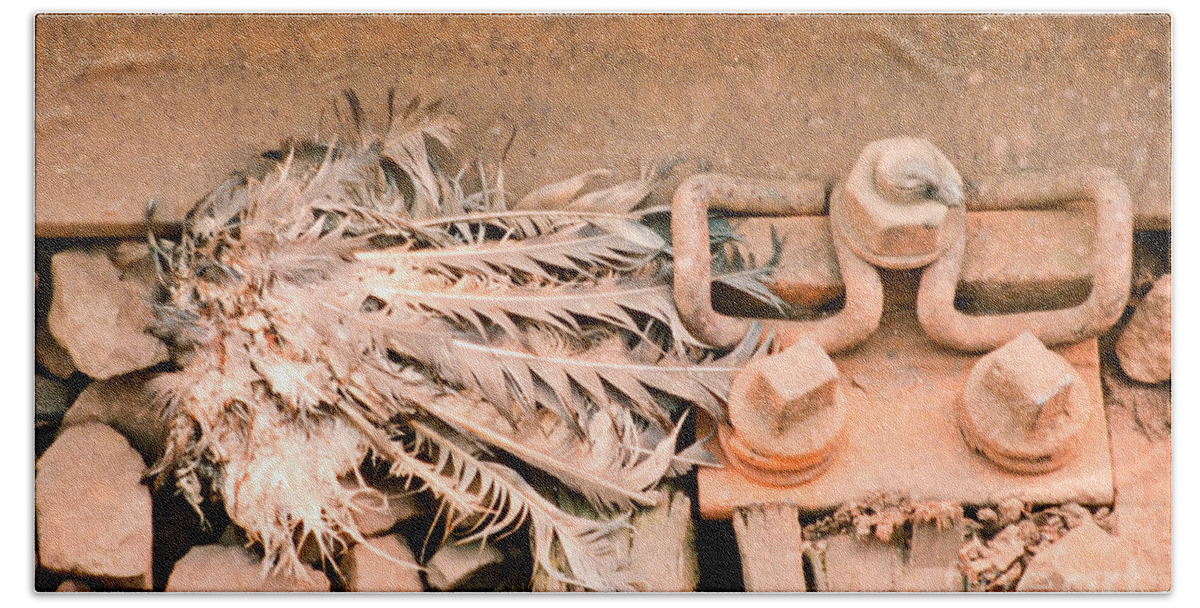 Pigeon Bath Sheet featuring the photograph Dead dove decomposing in railway track by Stephan Pietzko