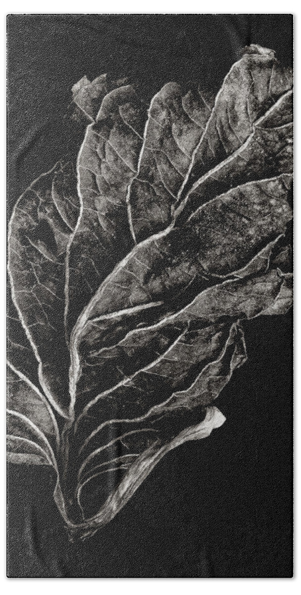 Leaf Bath Towel featuring the photograph Dead Leaf 12 by Robert Woodward