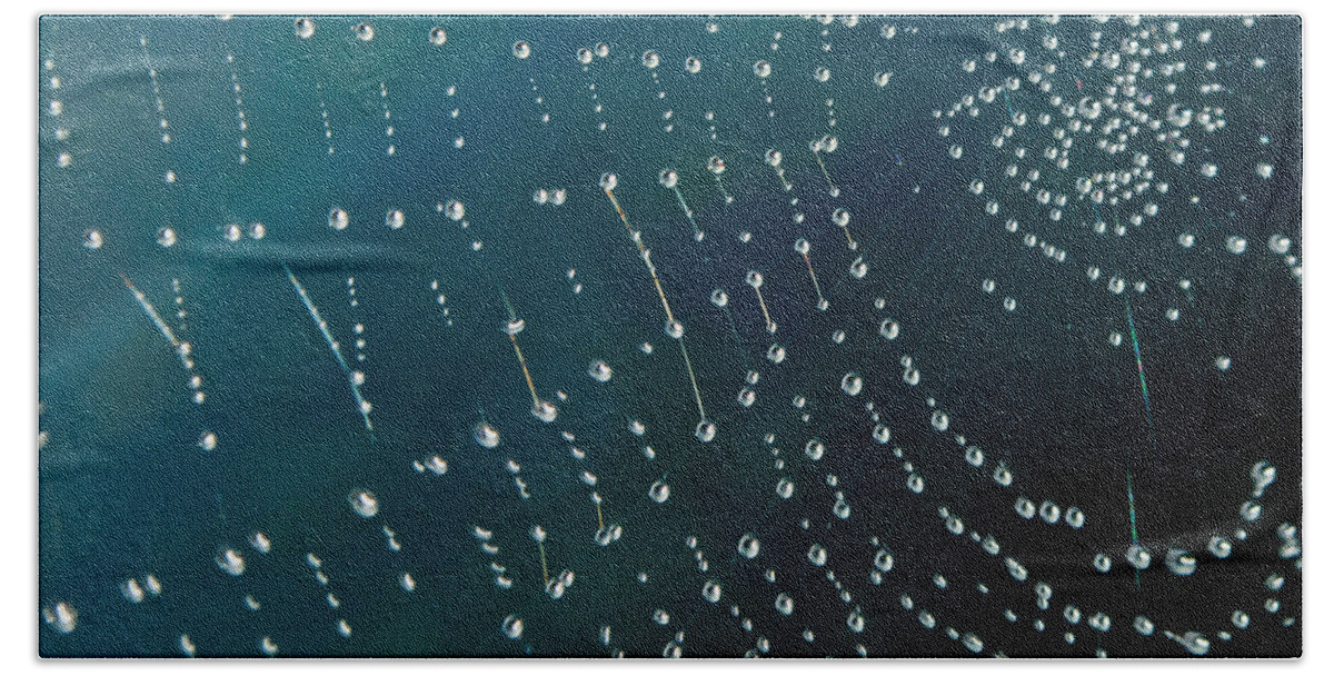 Rain Drops On Spider Web Hand Towel featuring the photograph Dew Drops on Web by Tikvah's Hope