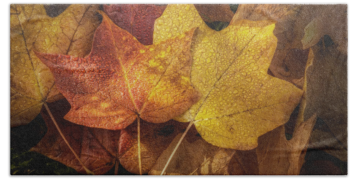 Leaf Bath Sheet featuring the photograph Dew on Autumn Leaves by Scott Norris