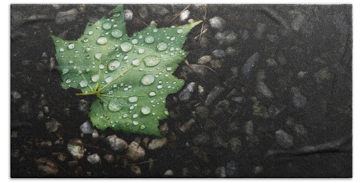 Leaf Hand Towel featuring the photograph Dew on Leaf by Scott Norris