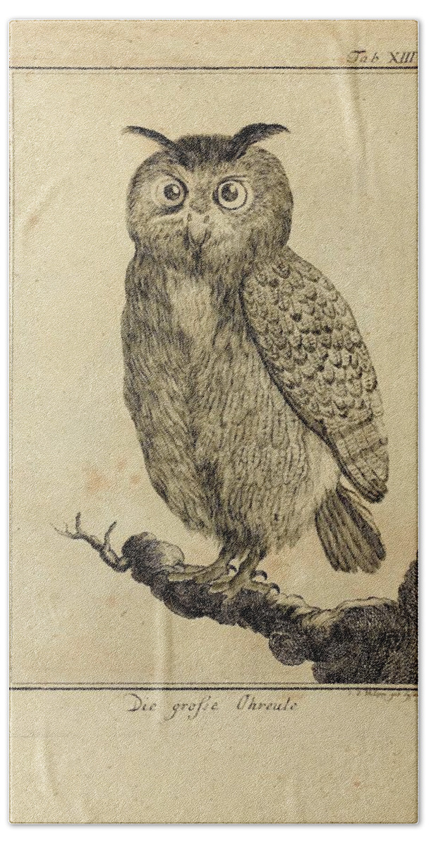 Owl Bath Sheet featuring the drawing Die Grosse Ohreale by Philip Ralley
