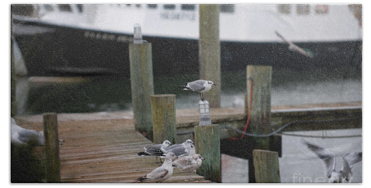 Sea Birds Hand Towel featuring the photograph Dockside Birds by Dale Powell