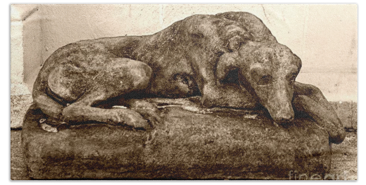 Dog Bath Towel featuring the photograph Dog Sculpture by John Harmon