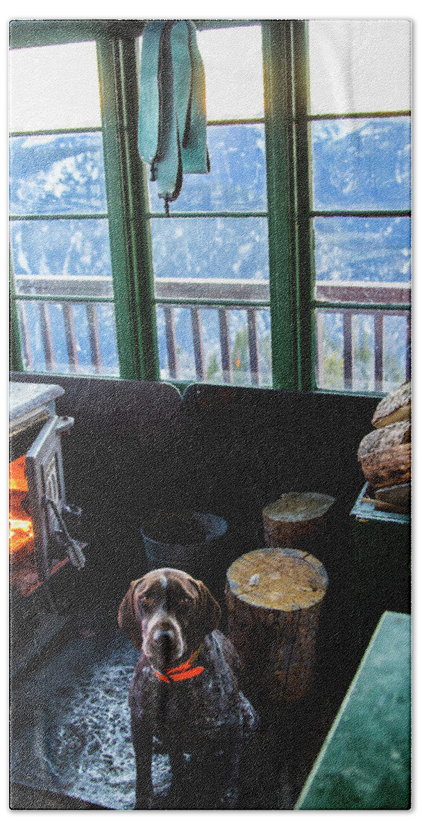 Domestic Animals Hand Towel featuring the photograph Dog Sits In Front Of A Fireplace by Hannah Dewey