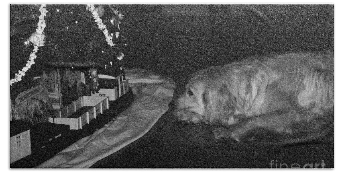 Christmas Cards Bath Towel featuring the photograph Dog with Christmas Train by Frank J Casella