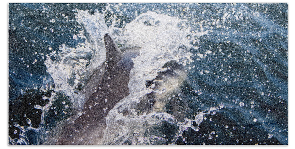 Animal Hand Towel featuring the photograph Dolphin Splash by John Wadleigh