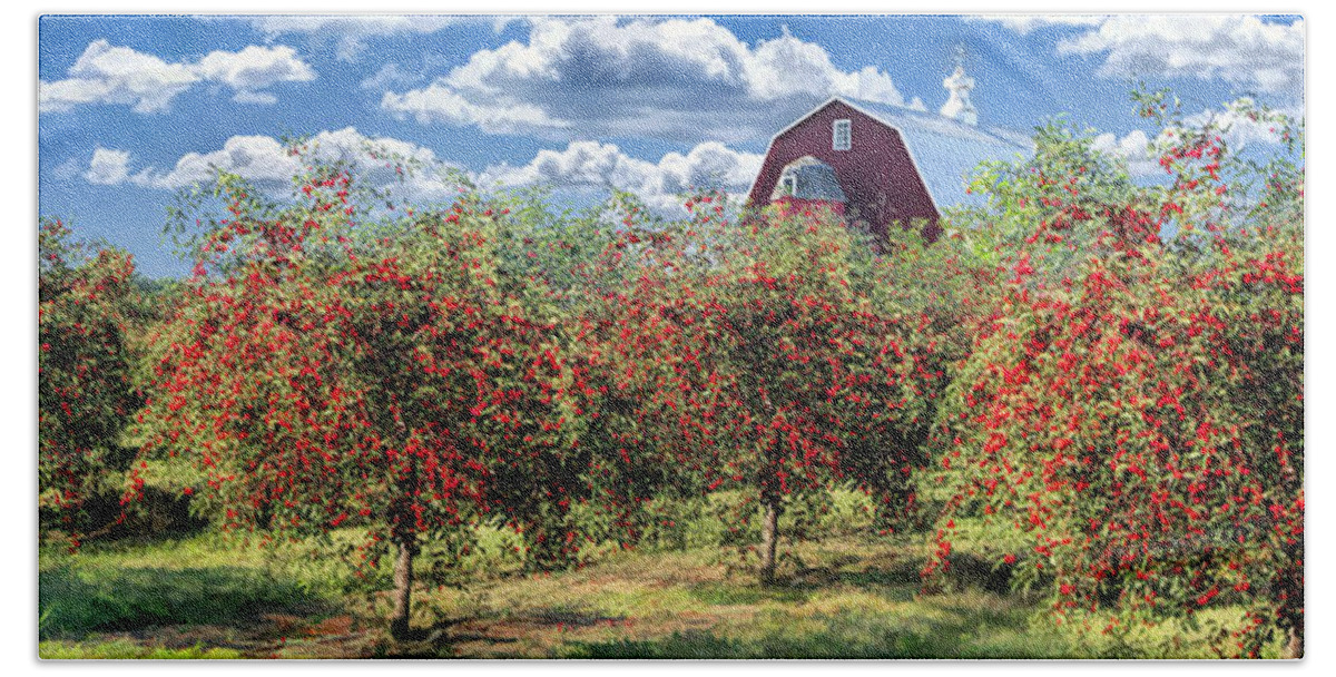 Door County Bath Towel featuring the painting Door County Cherry Harvest and Red Barn Panorama by Christopher Arndt