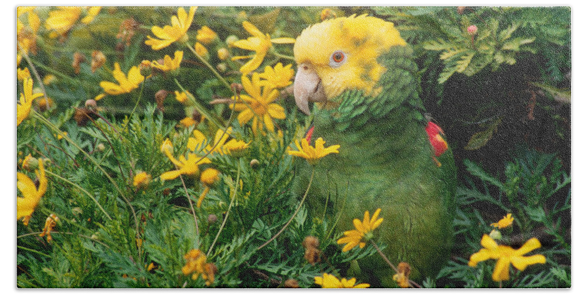 Amazon Parrot Hand Towel featuring the photograph Double Yellow-headed Amazon Parrot by Craig K. Lorenz