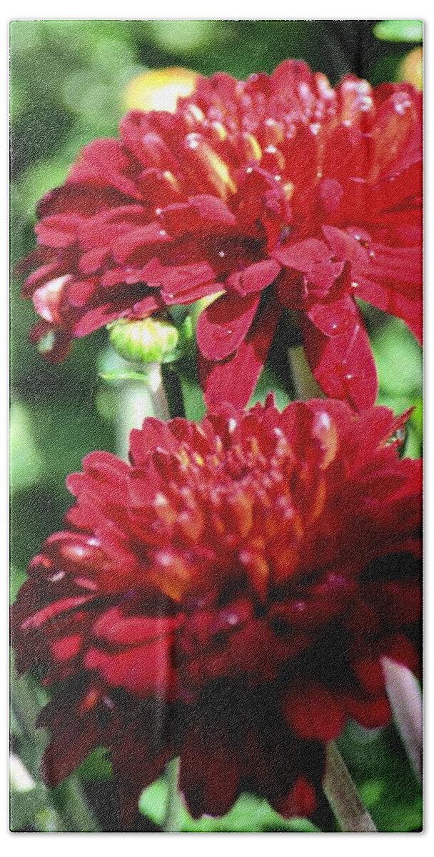 Doubled Red Mums Bath Towel featuring the photograph Doubled Red Mums by Maria Urso