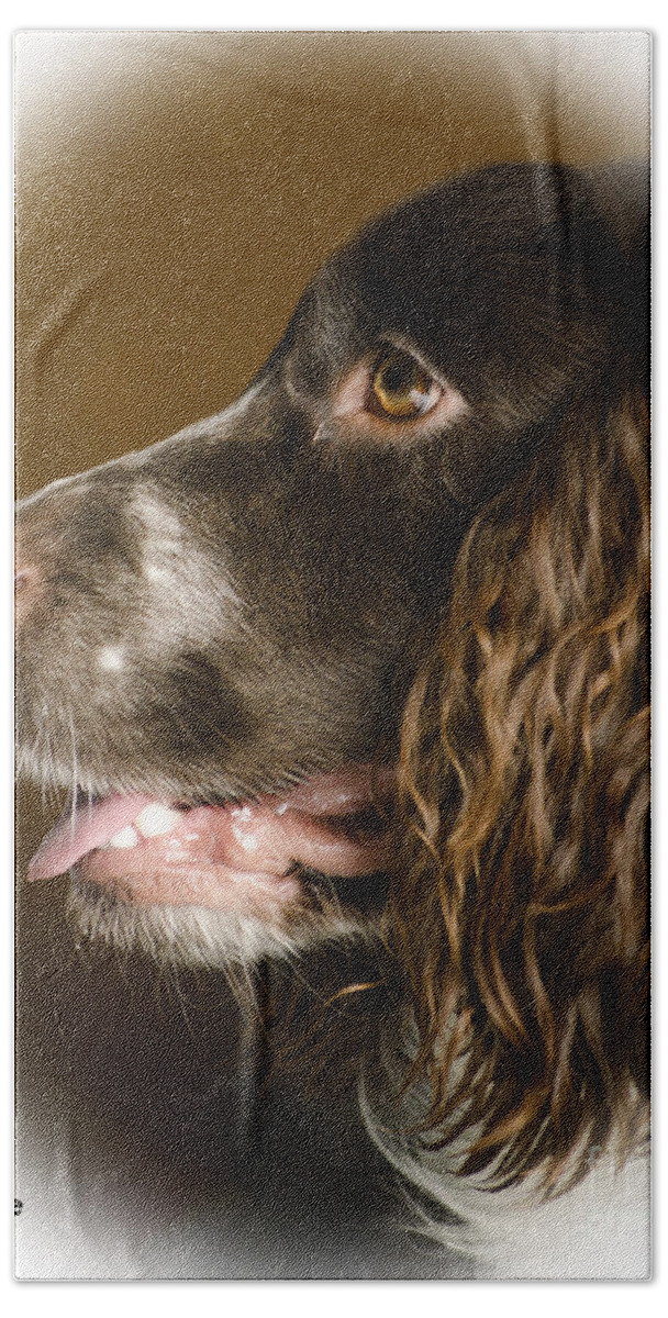 Dog Bath Towel featuring the photograph Dougie The Cocker Spaniel 2 by Linsey Williams