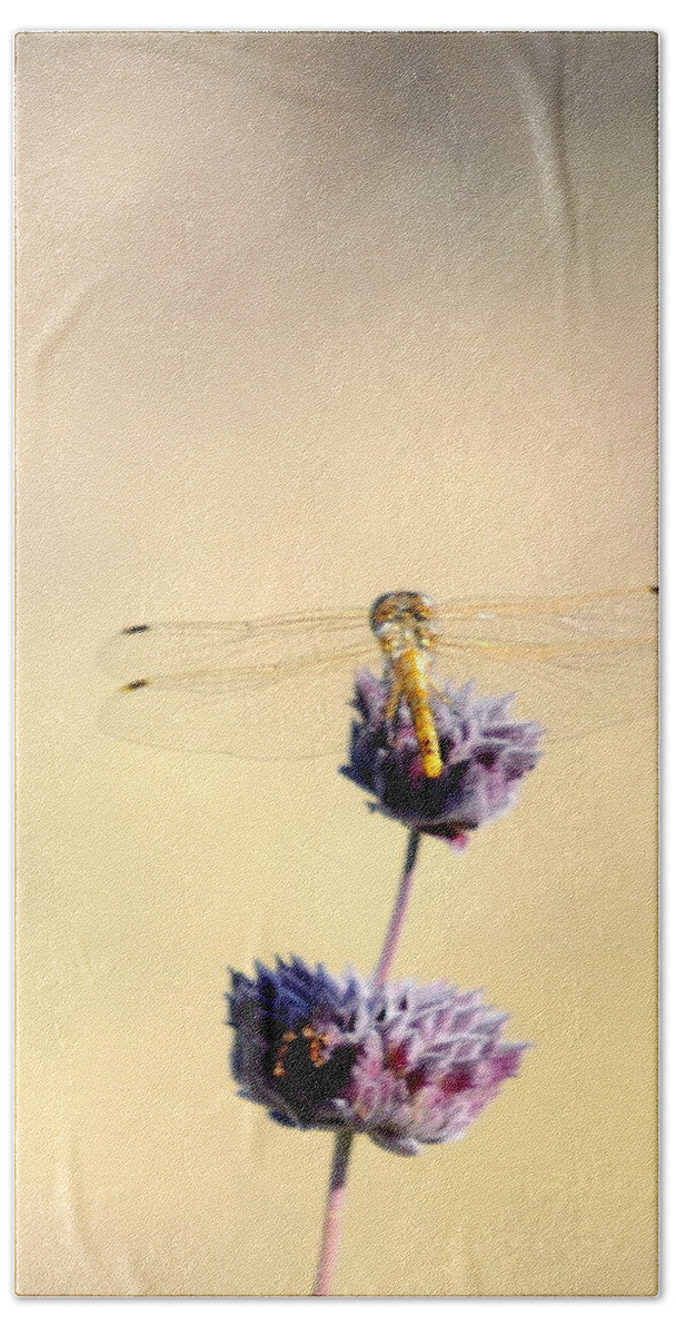 Insects Bath Towel featuring the photograph Dragonfly by AJ Schibig
