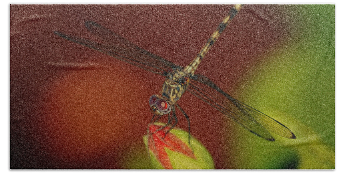 Dragonfly Bath Towel featuring the photograph Dragonfly on Hibiscus by Leticia Latocki