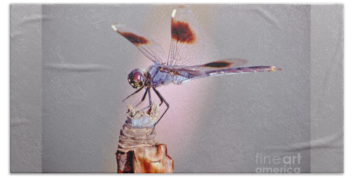 Dragonfly Hand Towel featuring the photograph Dragonfly by Savannah Gibbs