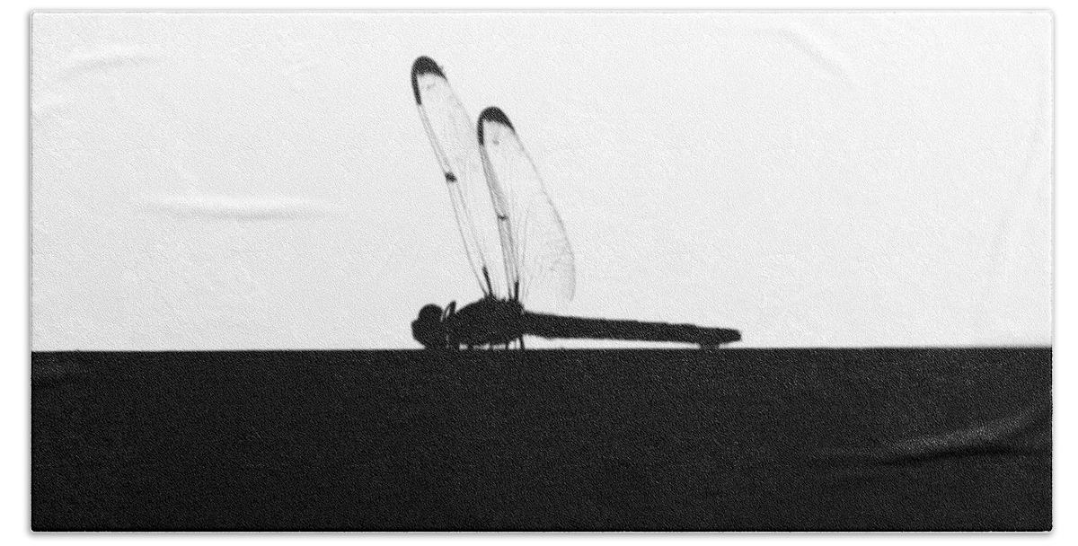 Silhouette Hand Towel featuring the photograph Dragonfly Silhouette by Maggy Marsh