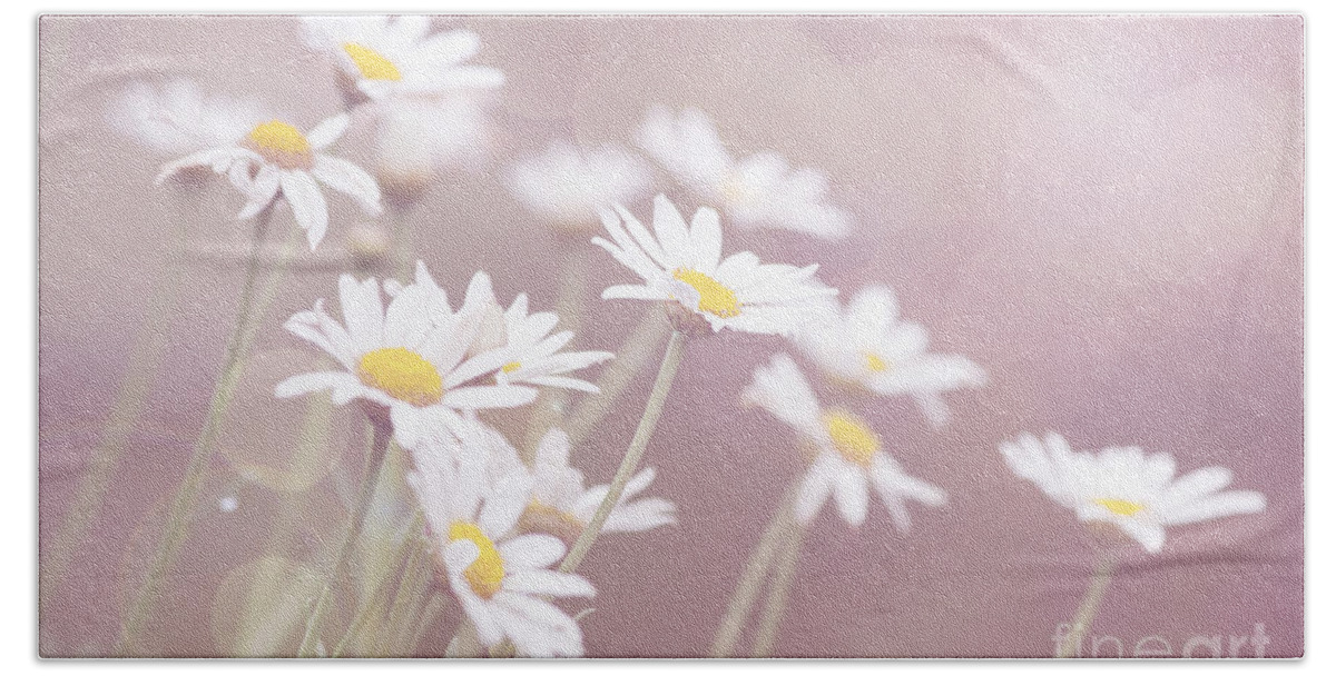 Daisy Hand Towel featuring the photograph Dreamy Daisies by Linda Lees