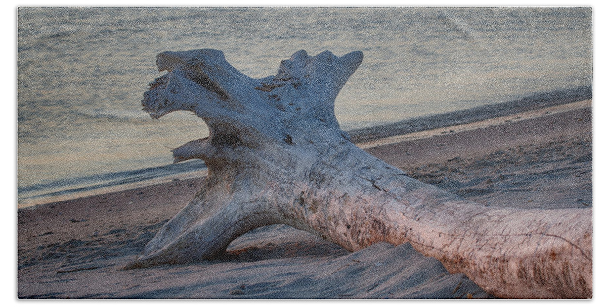 Bay Bath Towel featuring the photograph Driftwood at Dawn 1 by Leah Palmer