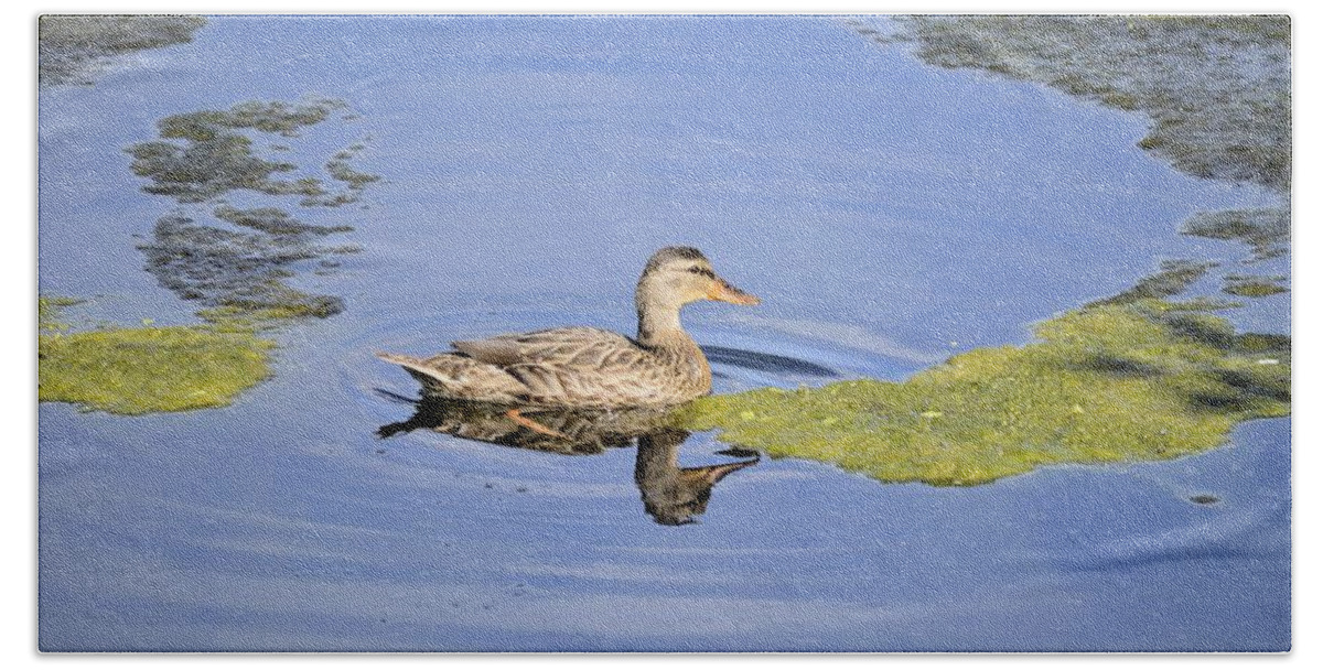 Duck Bath Towel featuring the photograph Duality Reflection by Bonfire Photography